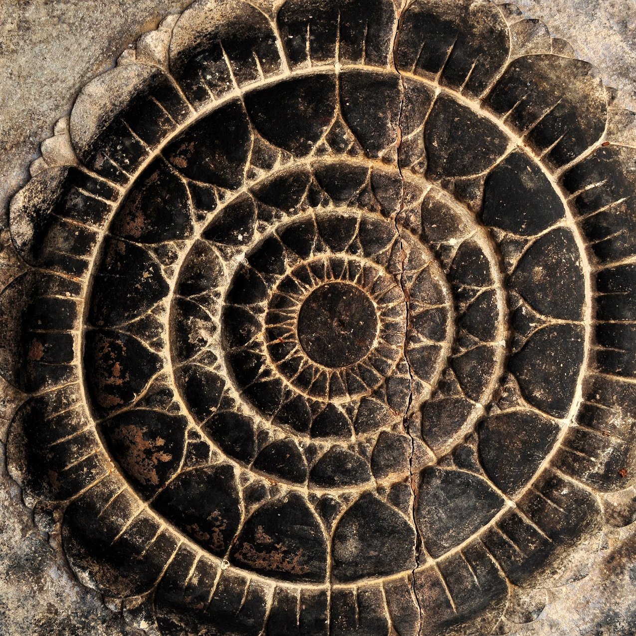 The Ashlight Labyrinth